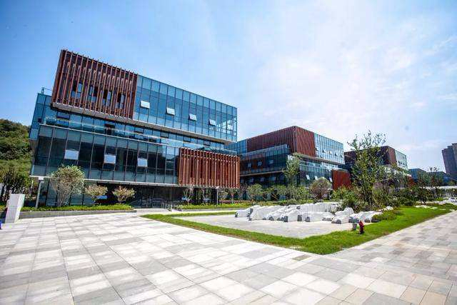 樹屋十六棟辦公樓